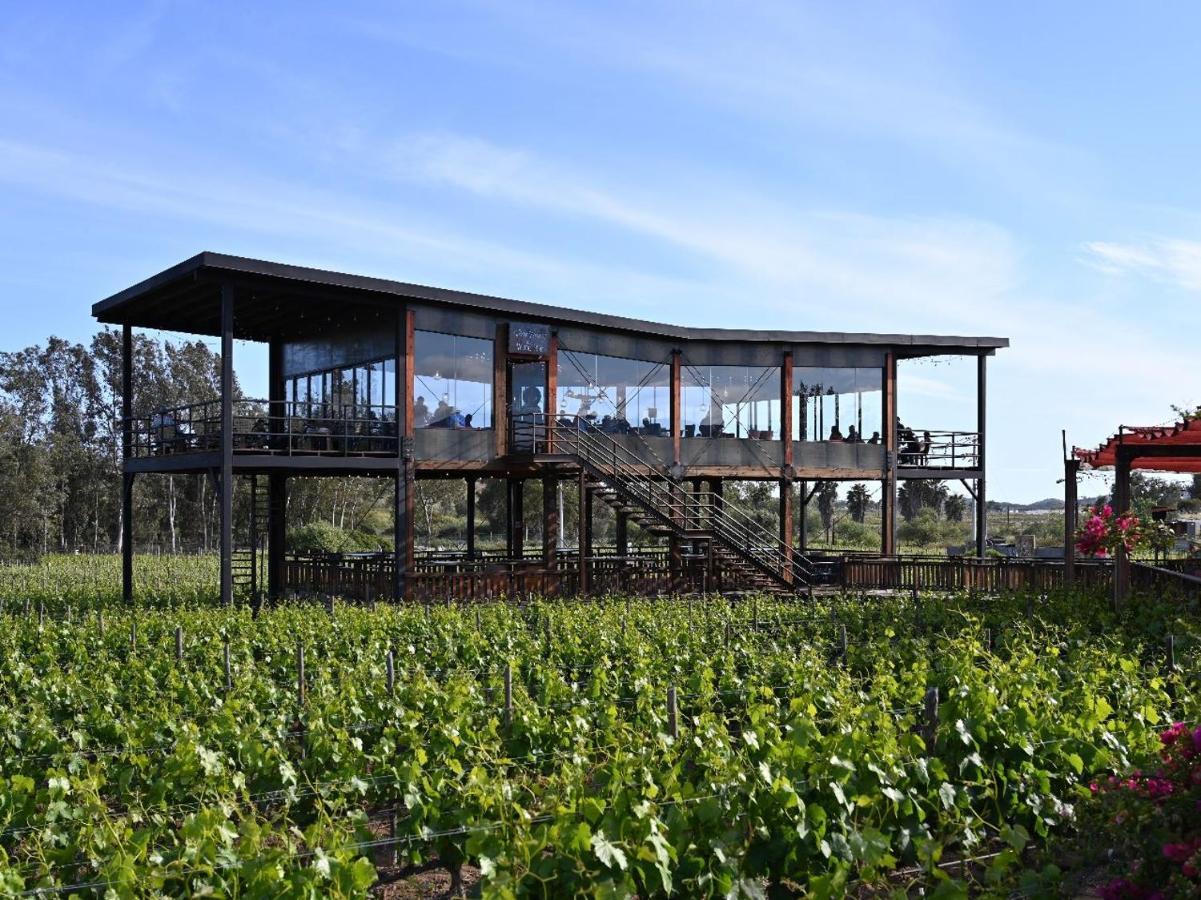 Don Tomas Vinedo Cabanas Valle de Guadalupe Bagian luar foto