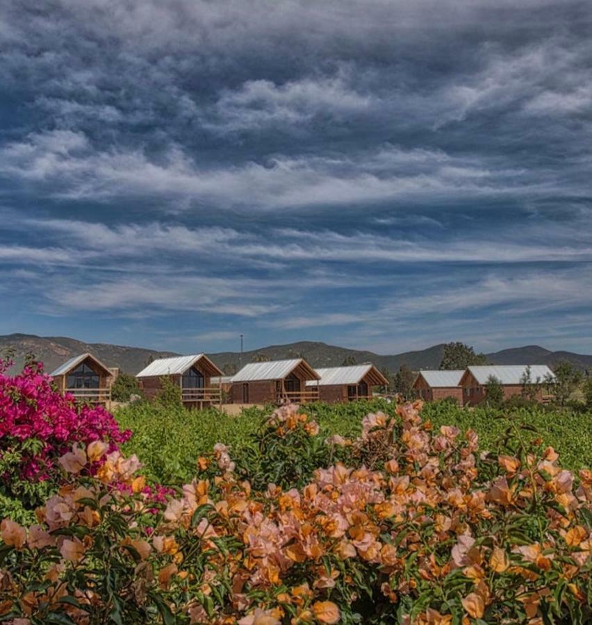 Don Tomas Vinedo Cabanas Valle de Guadalupe Bagian luar foto